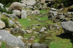 Ambienti umidi_Montecristo_Bruno_Foggi_web