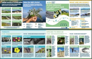 Thumbnail_Leaflet