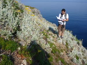 carpobrotus_25_L.Lazzaro (1)