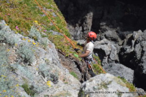 Ripristino vegetazione Giannutri_M.Giunti (27)